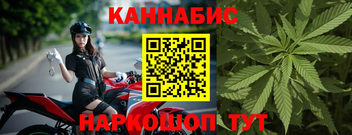 Бошки Шишки White Widow  Вход с VPN  Фрязино  Шишки марихуана сатива 